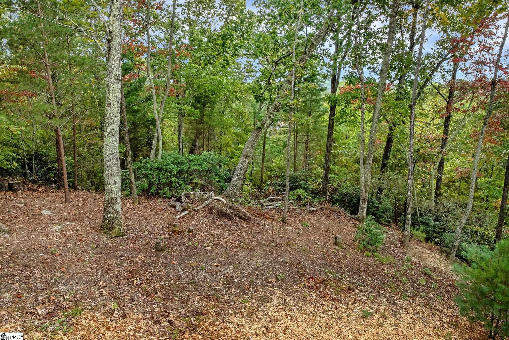 435 Augusta Links Trail Travelers Rest, SC 29690 - Photo 3 of 11