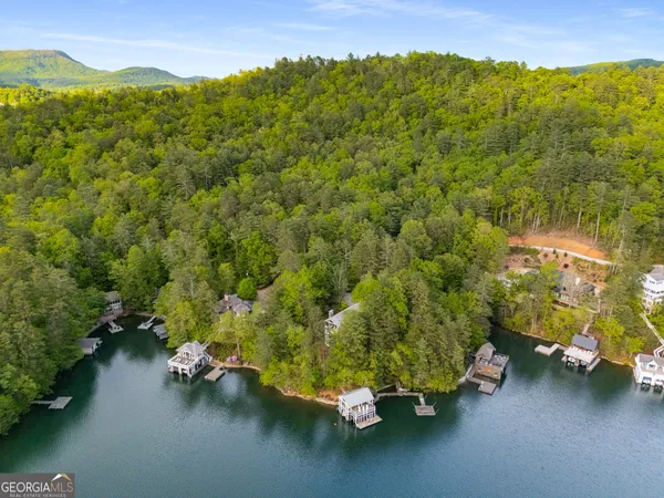 $3,995,000 | 1006 Perrin Cove Road, Tiger, GA 30576