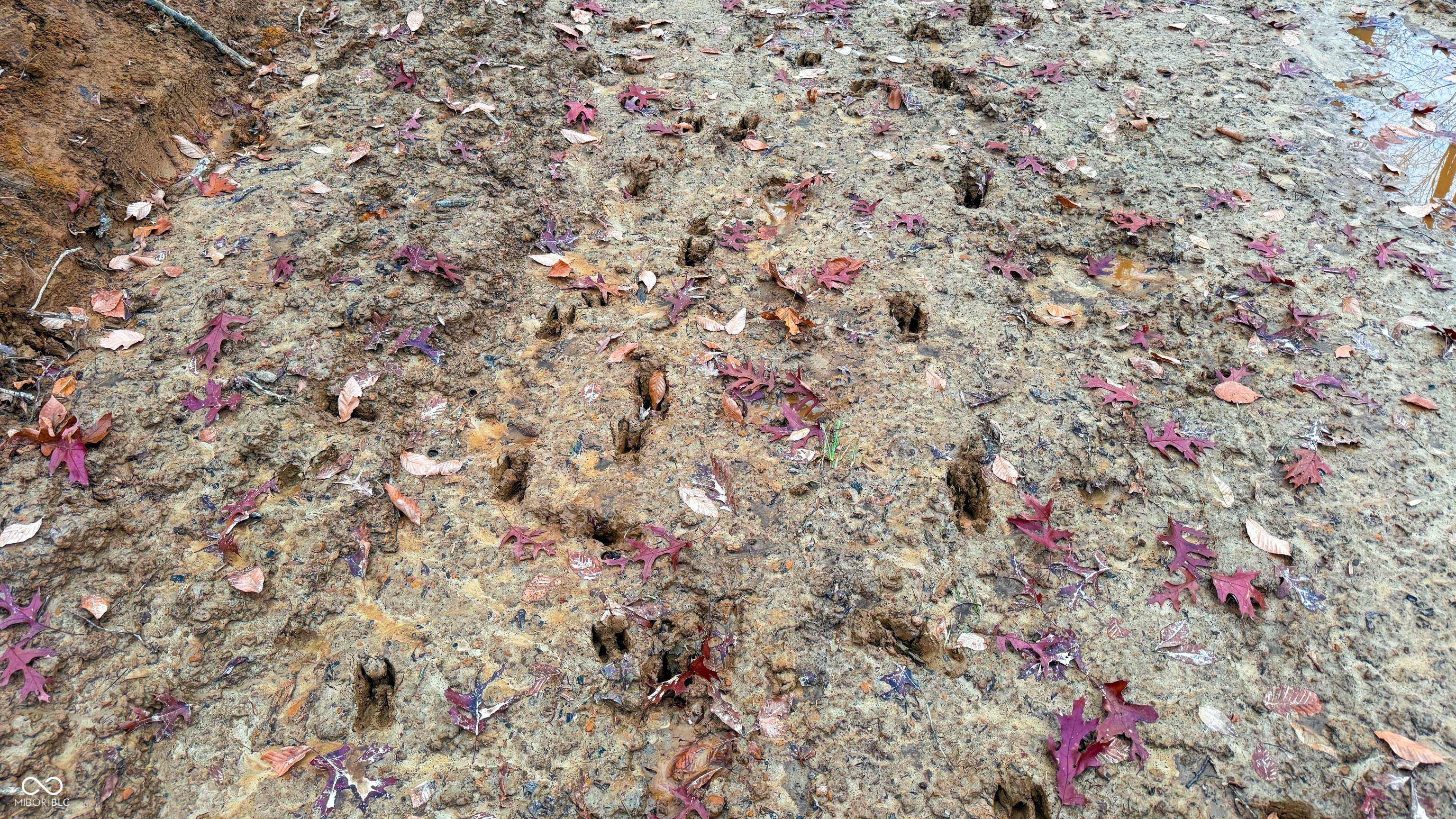 0 Tunnel North Road Bloomington, IN 47408 - Photo 11 of 33