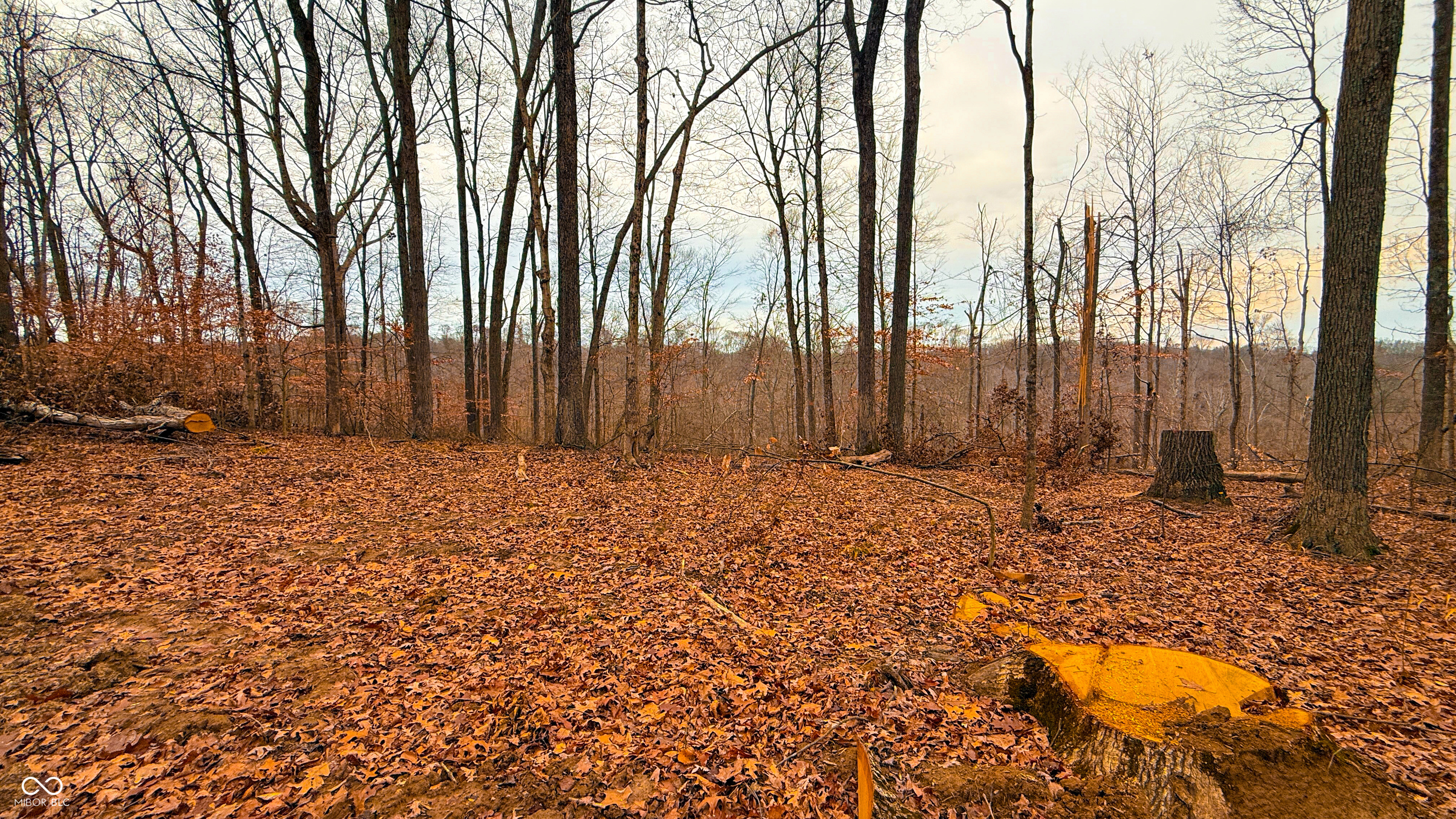 0 Tunnel North Road Bloomington, IN 47408 - Photo 13 of 33