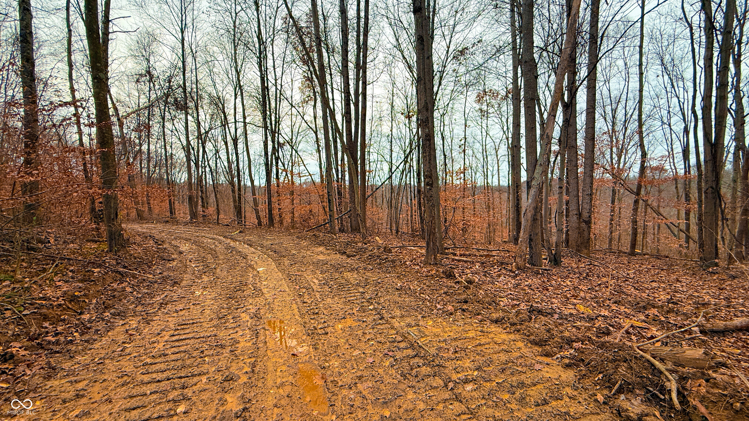 0 Tunnel North Road Bloomington, IN 47408 - Photo 6 of 33