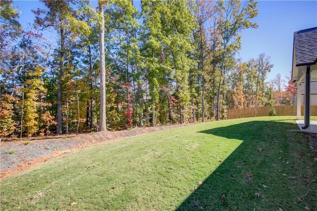 a view of a field with a tree