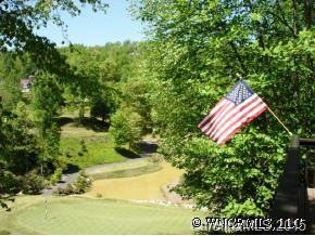 4480 Cove Loop Road Hendersonville, NC 28739 - Photo 8 of 12 Gallery Image 8