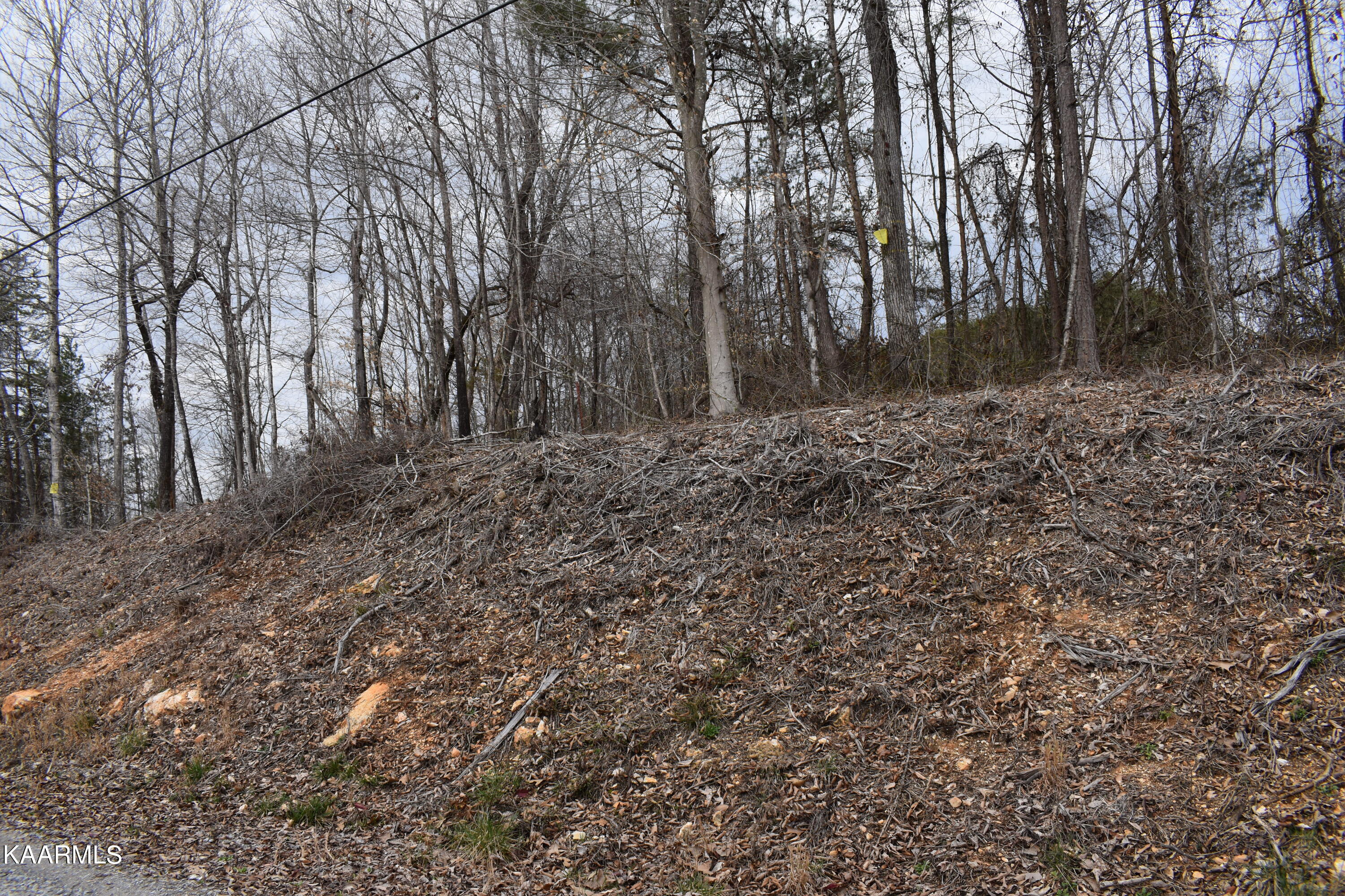 Lot 17 Jones Ridge Road Speedwell, TN 37870 - Photo 1 of 2 17