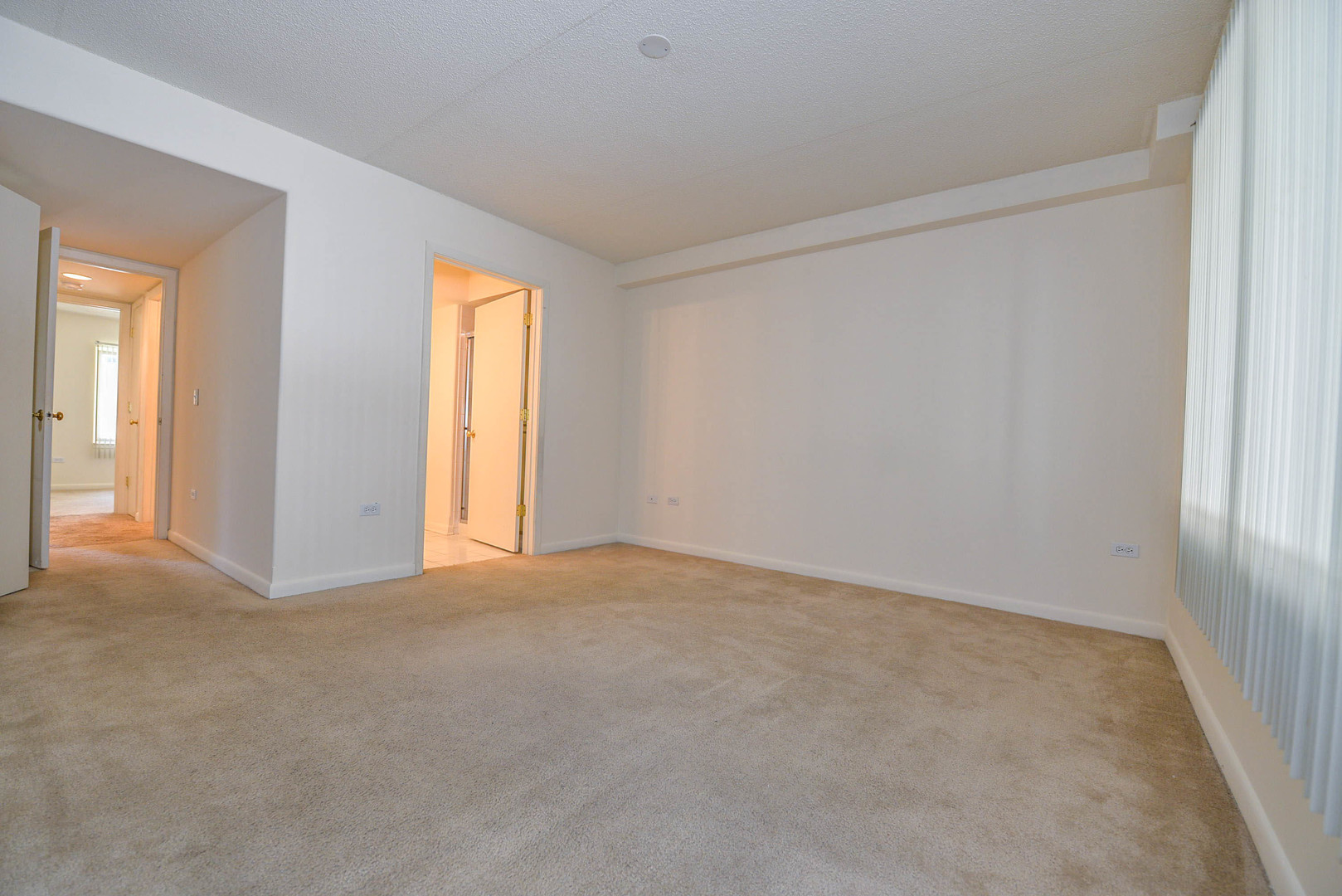 5337 North East River Road, Unit 302 Chicago, IL 60656 - Photo 17 of 22 a view of an empty room and a window