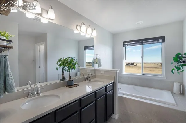 a bathroom with a tub a sink and a large mirror