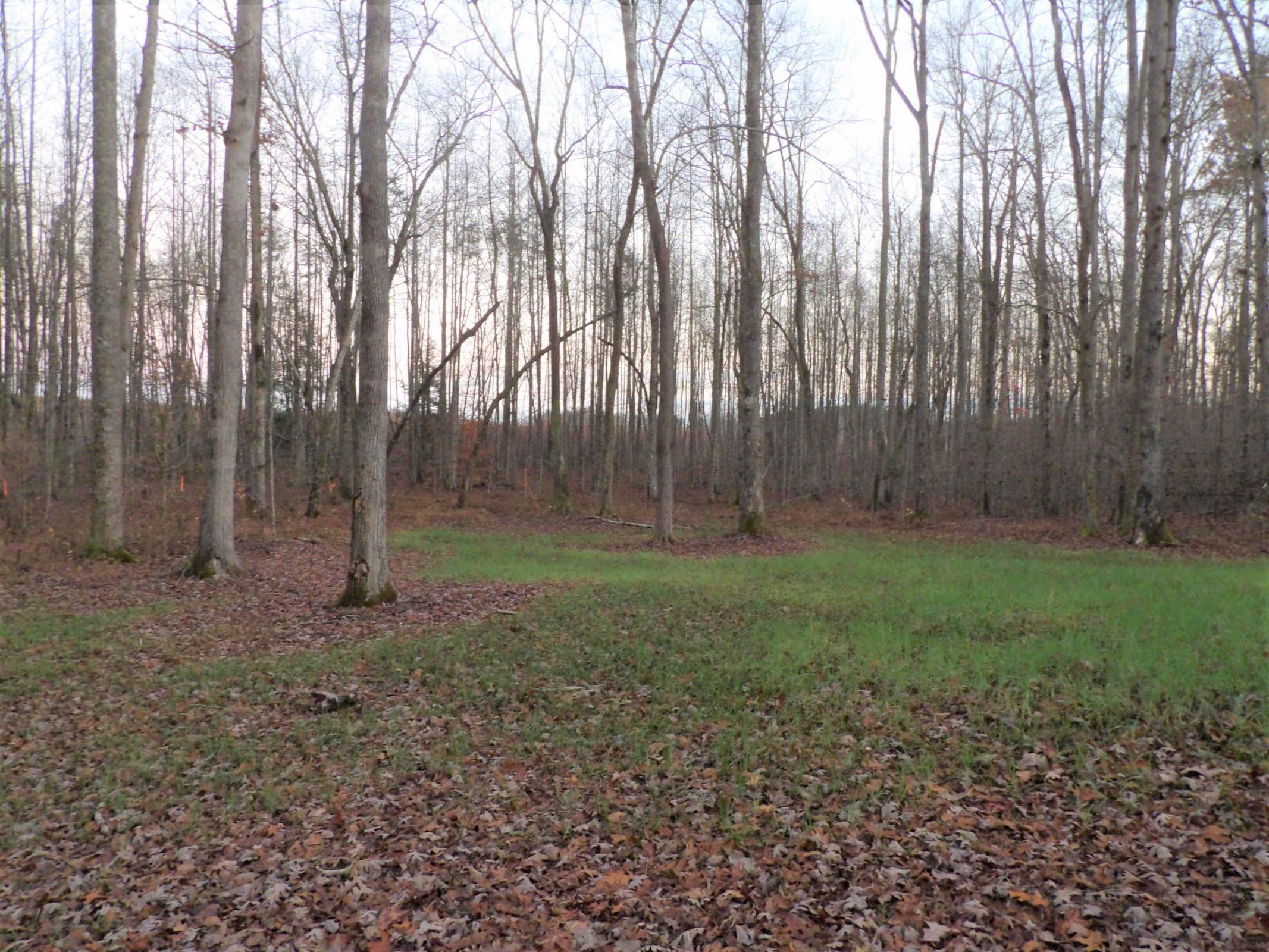 0 Mount Laurel Road, Unit 1 Pikeville, TN 37367 - Photo 1 of 20 20201113201911711396000000-o