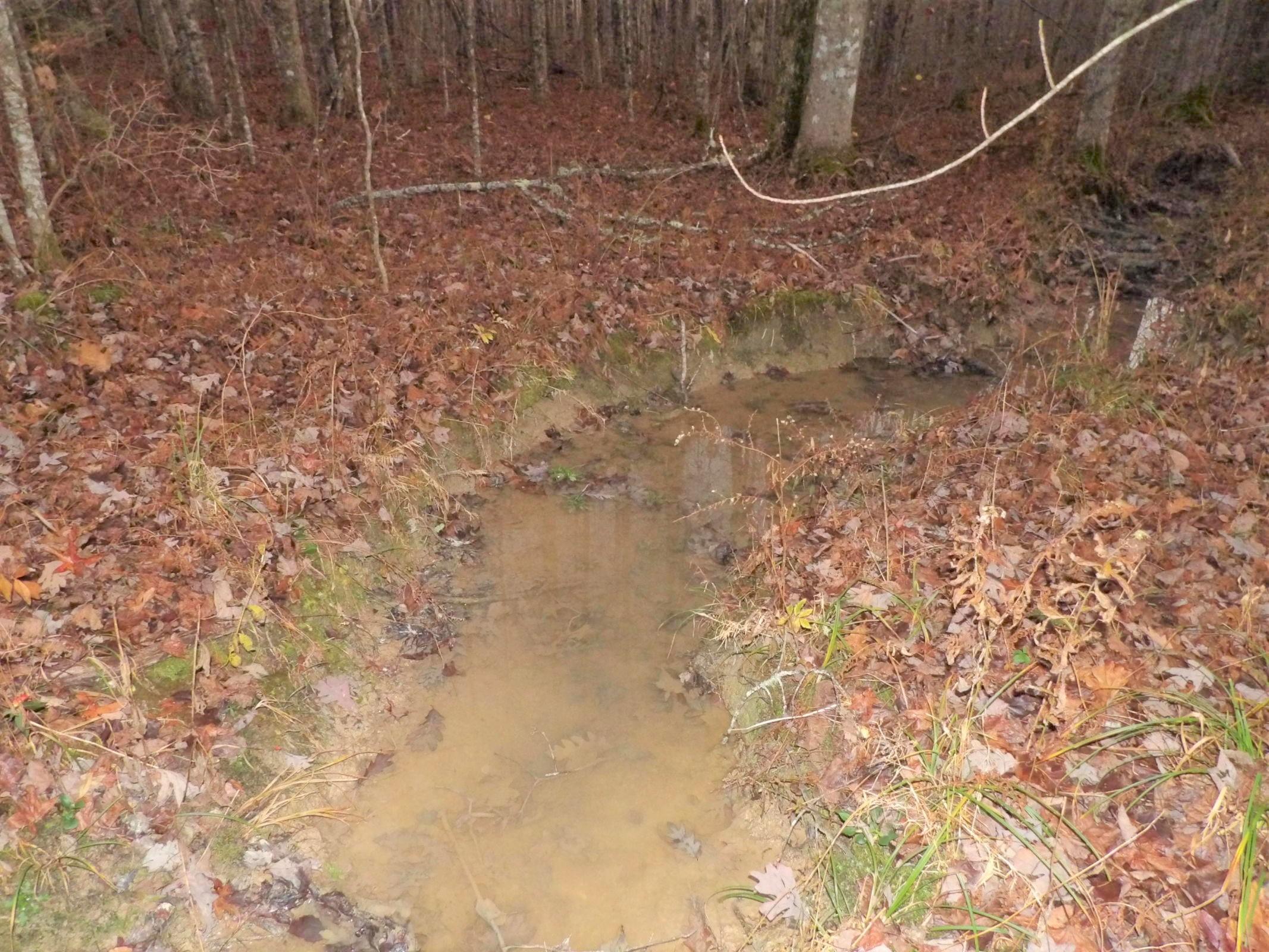 0 Mount Laurel Road, Unit 1 Pikeville, TN 37367 - Photo 11 of 20 20201113201936120545000000-o