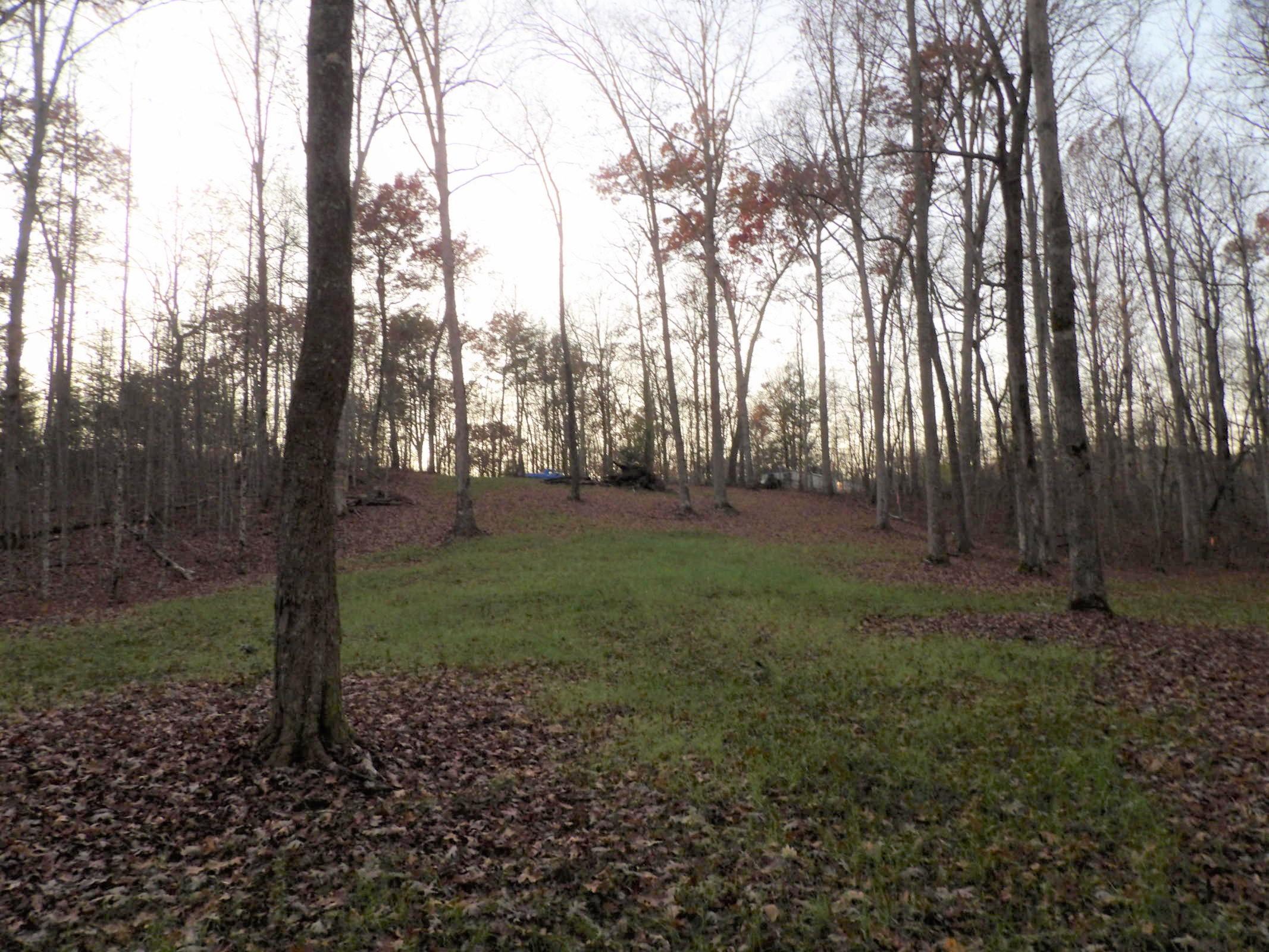 0 Mount Laurel Road, Unit 1 Pikeville, TN 37367 - Photo 12 of 20 20201113201941503724000000-o