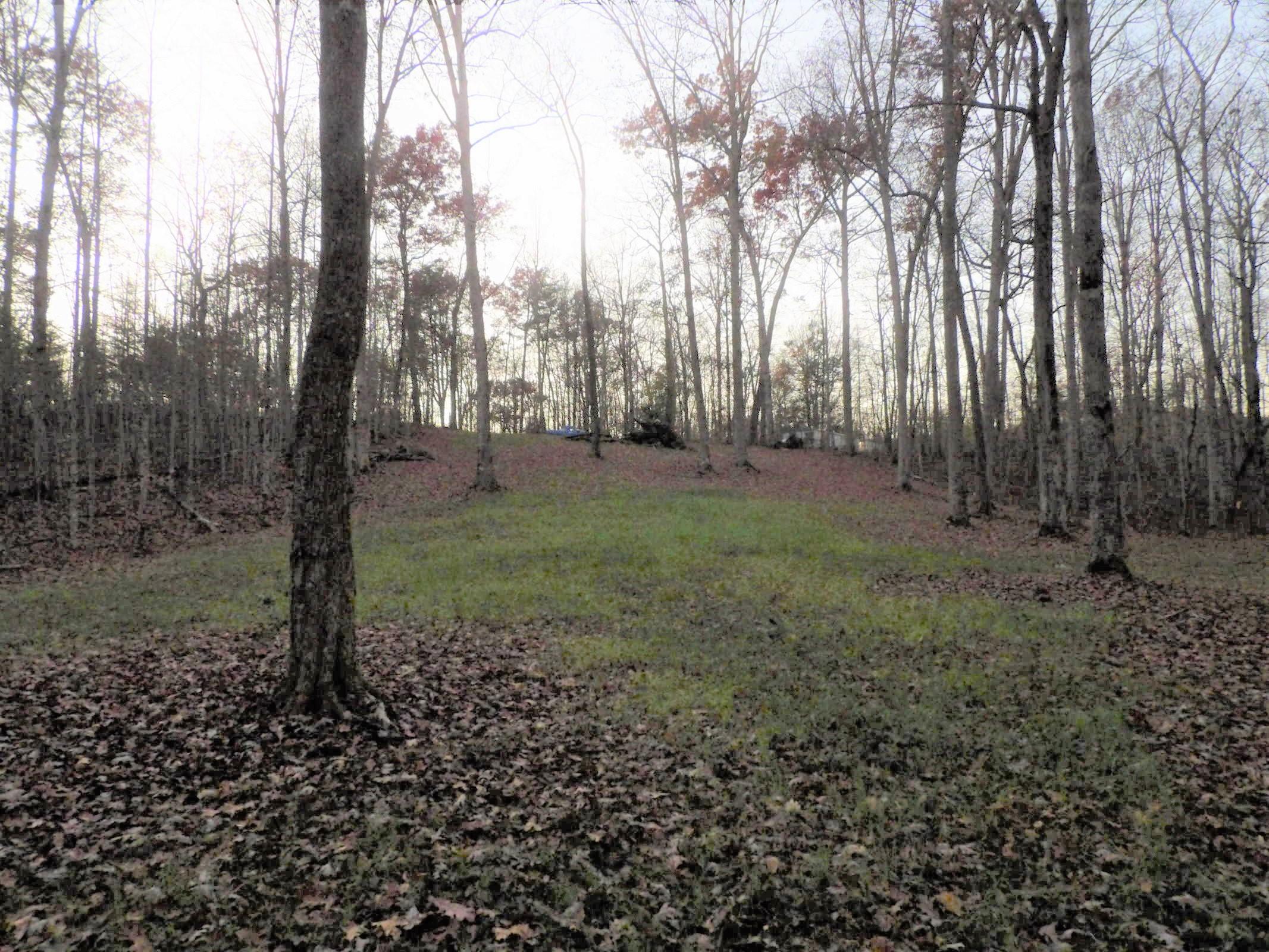 0 Mount Laurel Road, Unit 1 Pikeville, TN 37367 - Photo 13 of 20 20201113201946311478000000-o