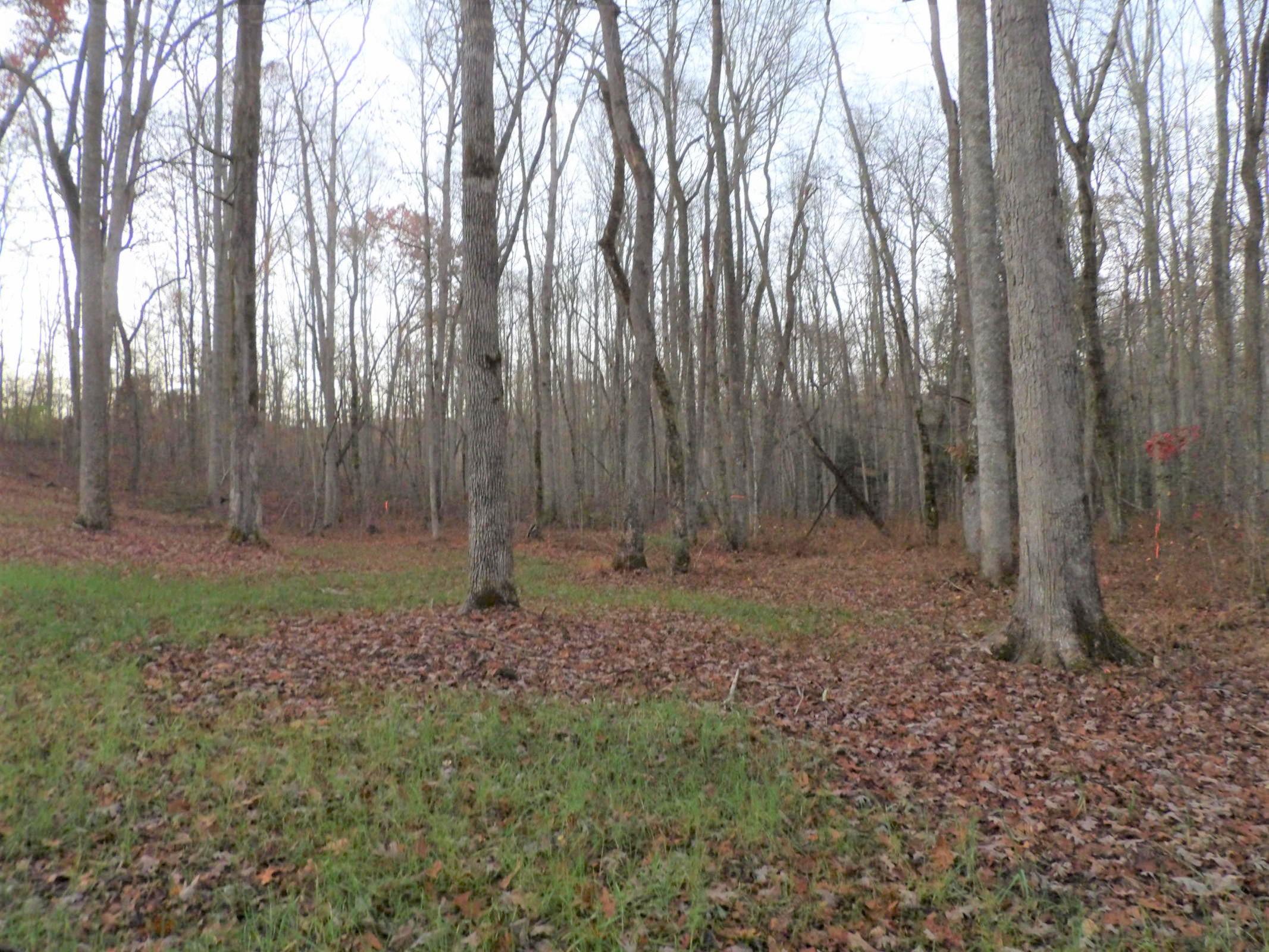0 Mount Laurel Road, Unit 1 Pikeville, TN 37367 - Photo 15 of 20 20201113201956098395000000-o