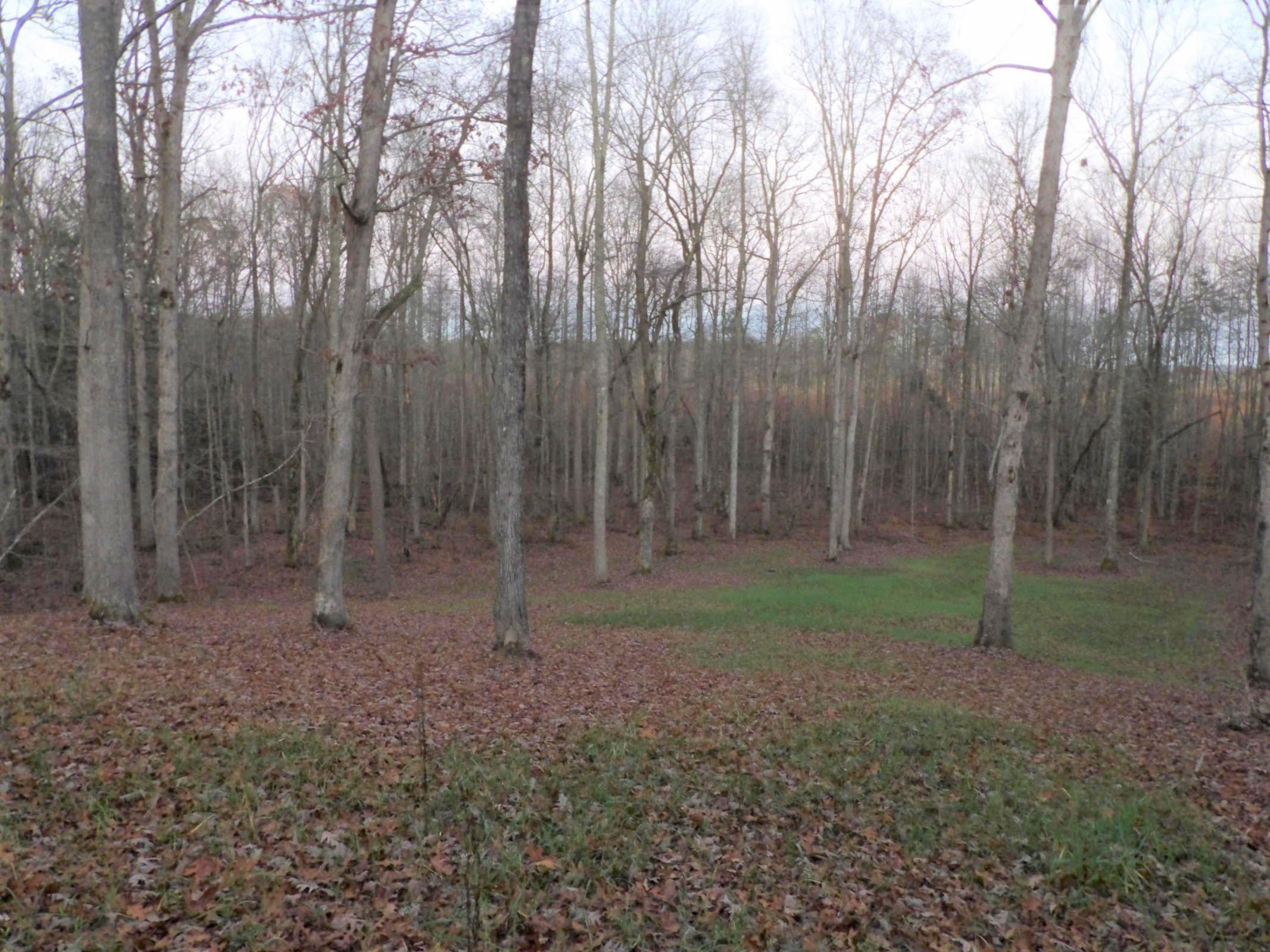 0 Mount Laurel Road, Unit 1 Pikeville, TN 37367 - Photo 16 of 20 20201113202002179018000000-o