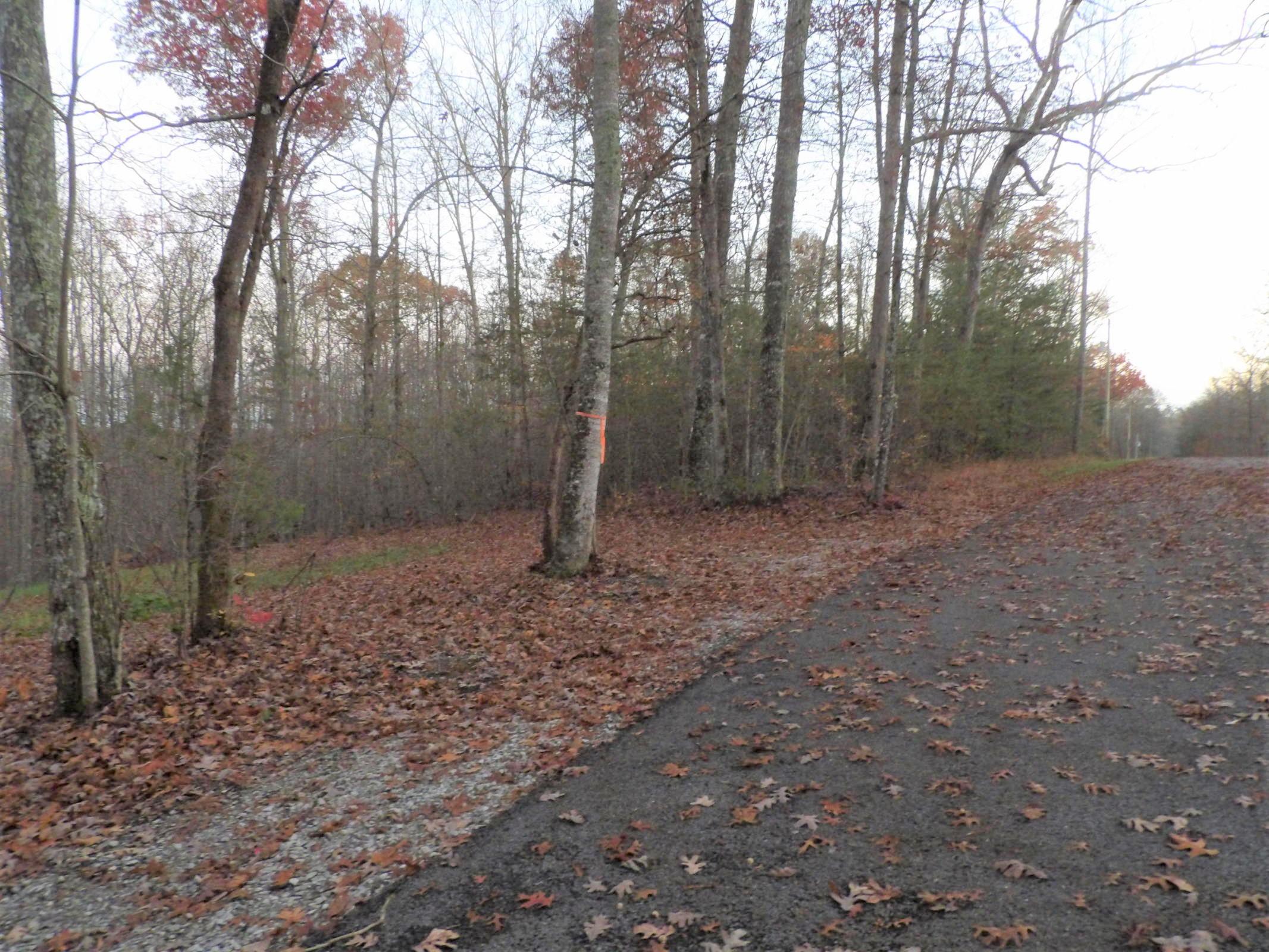 0 Mount Laurel Road, Unit 1 Pikeville, TN 37367 - Photo 17 of 20 20201113202006353671000000-o