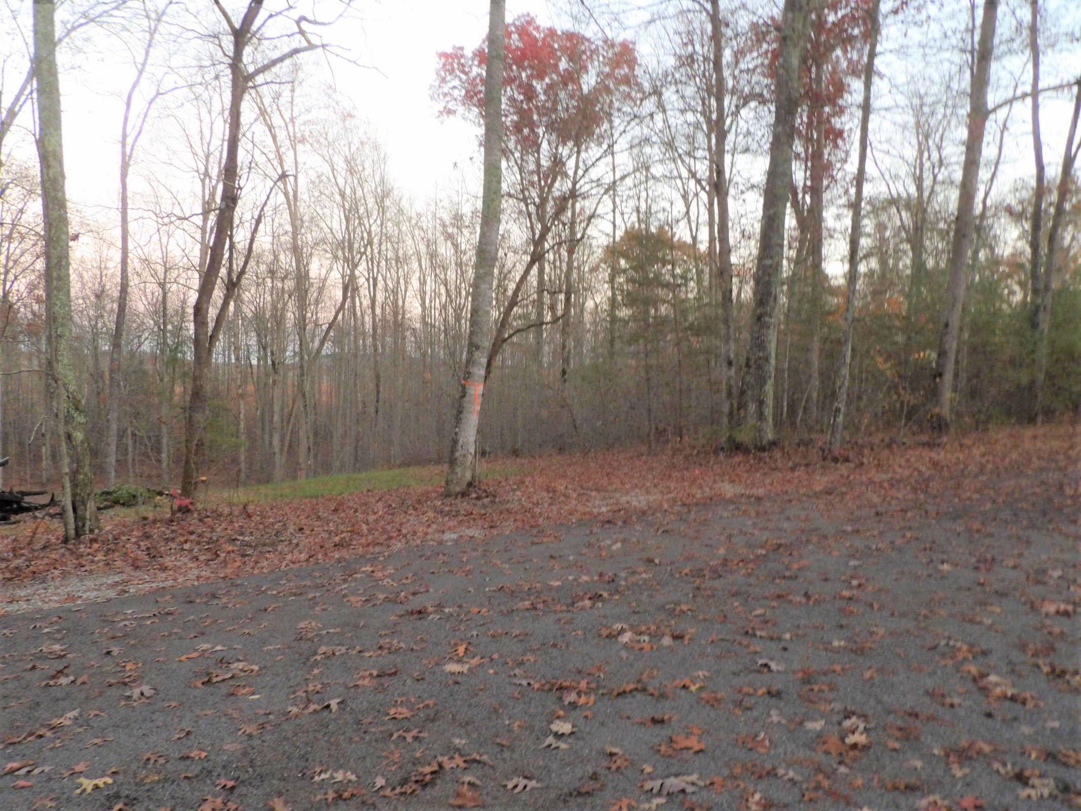0 Mount Laurel Road, Unit 1 Pikeville, TN 37367 - Photo 18 of 20 20201113201827337097000000-o