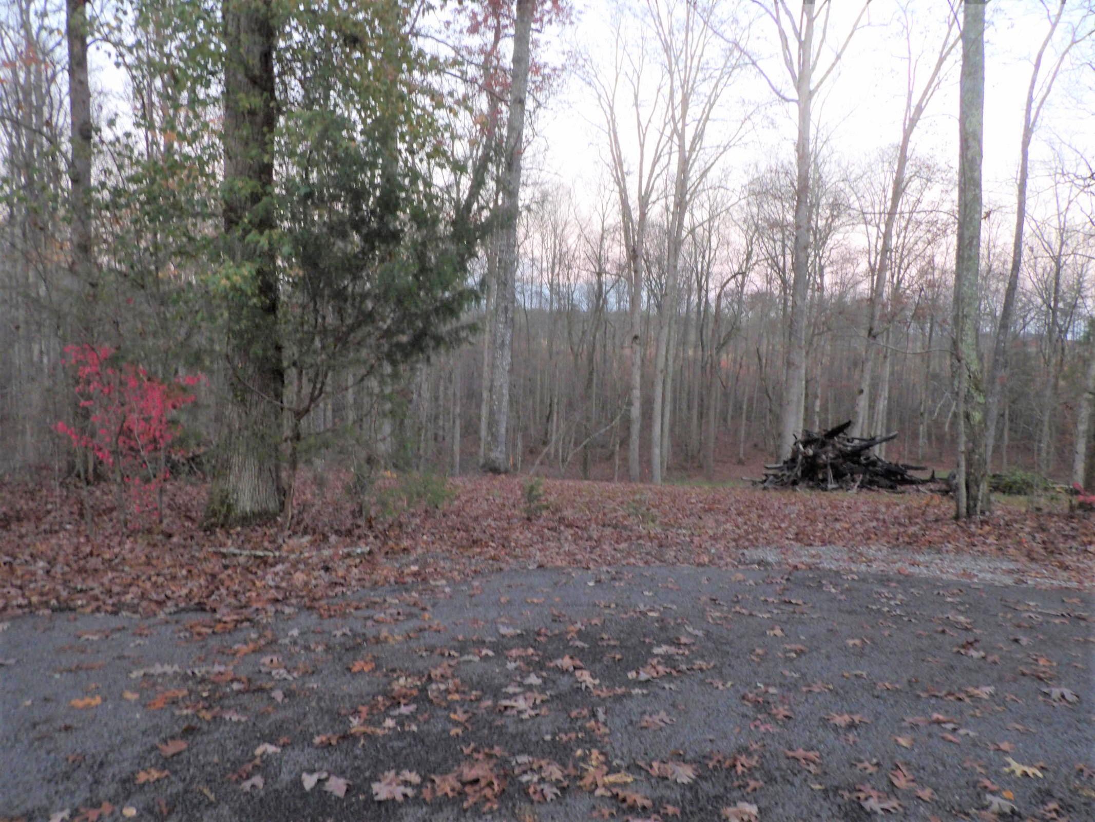 0 Mount Laurel Road, Unit 1 Pikeville, TN 37367 - Photo 19 of 20 20201113201835912802000000-o