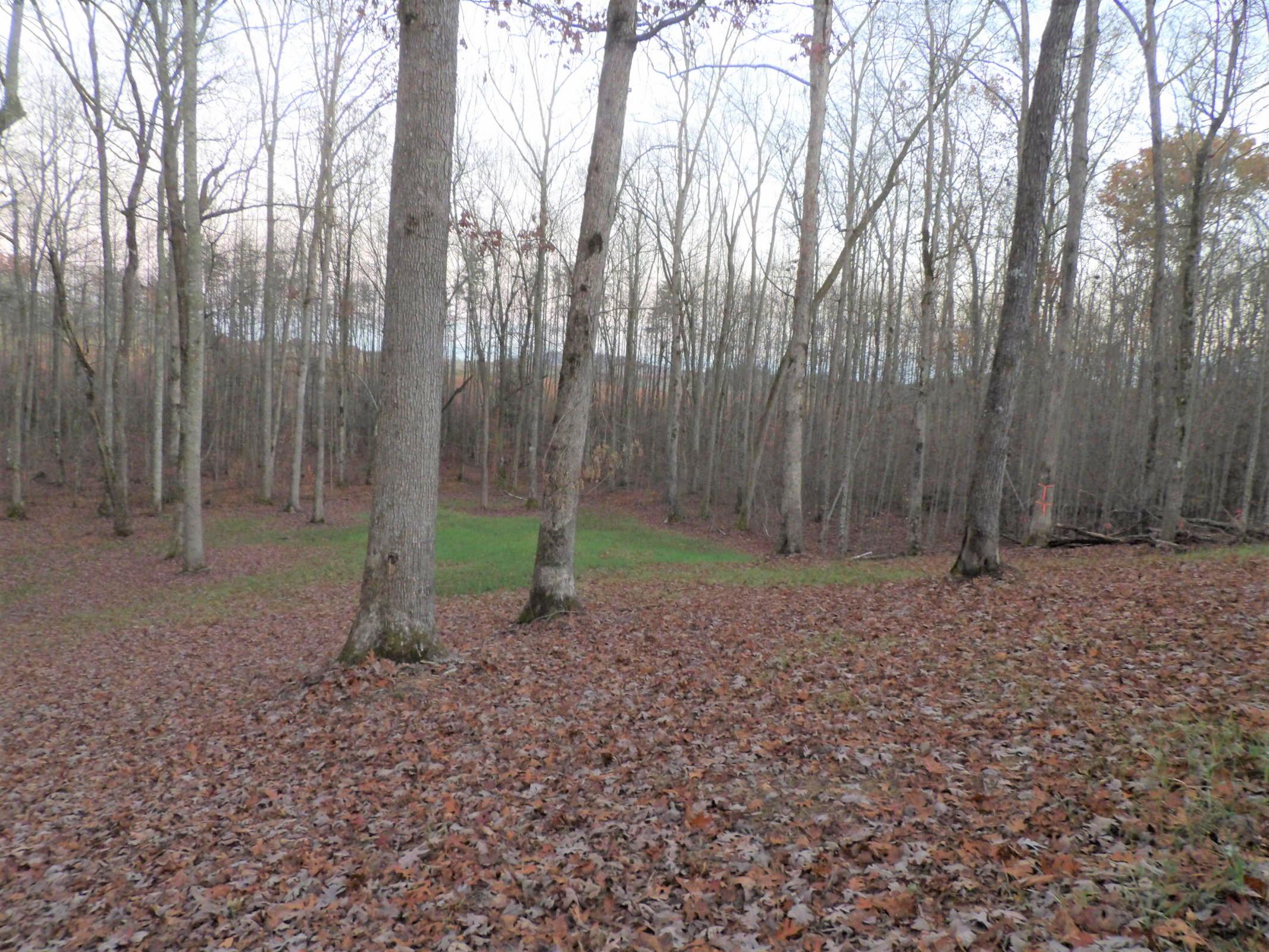 0 Mount Laurel Road, Unit 1 Pikeville, TN 37367 - Photo 5 of 20 20201113201858438958000000-o
