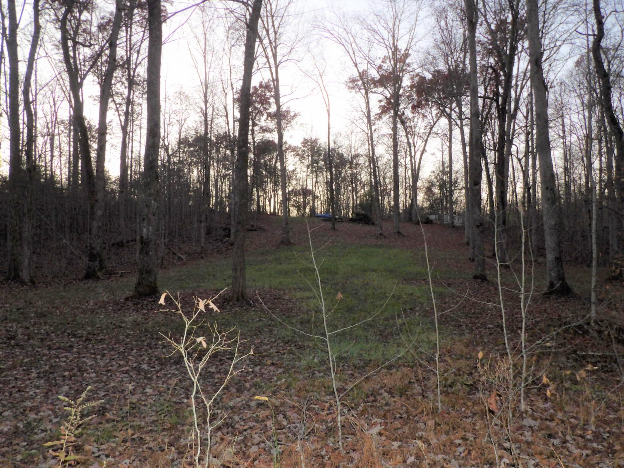 0 Mount Laurel Road, Unit 1 Pikeville, TN 37367 - Photo 10 of 20 20201113201930626499000000-o