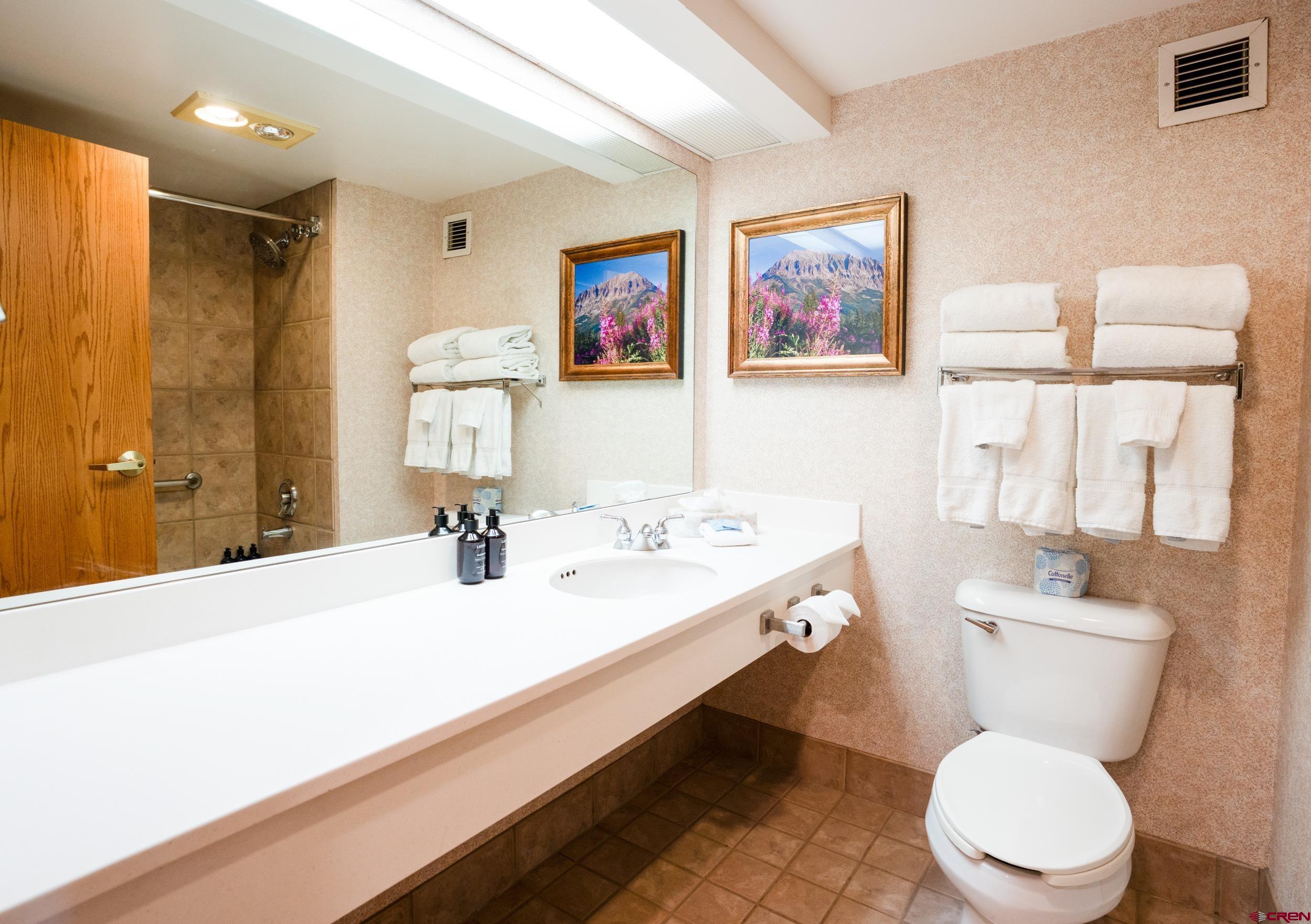 6 Emmons Road, Unit 463 Crested Butte, CO 81225 - Photo 13 of 21 Gallery Image 13