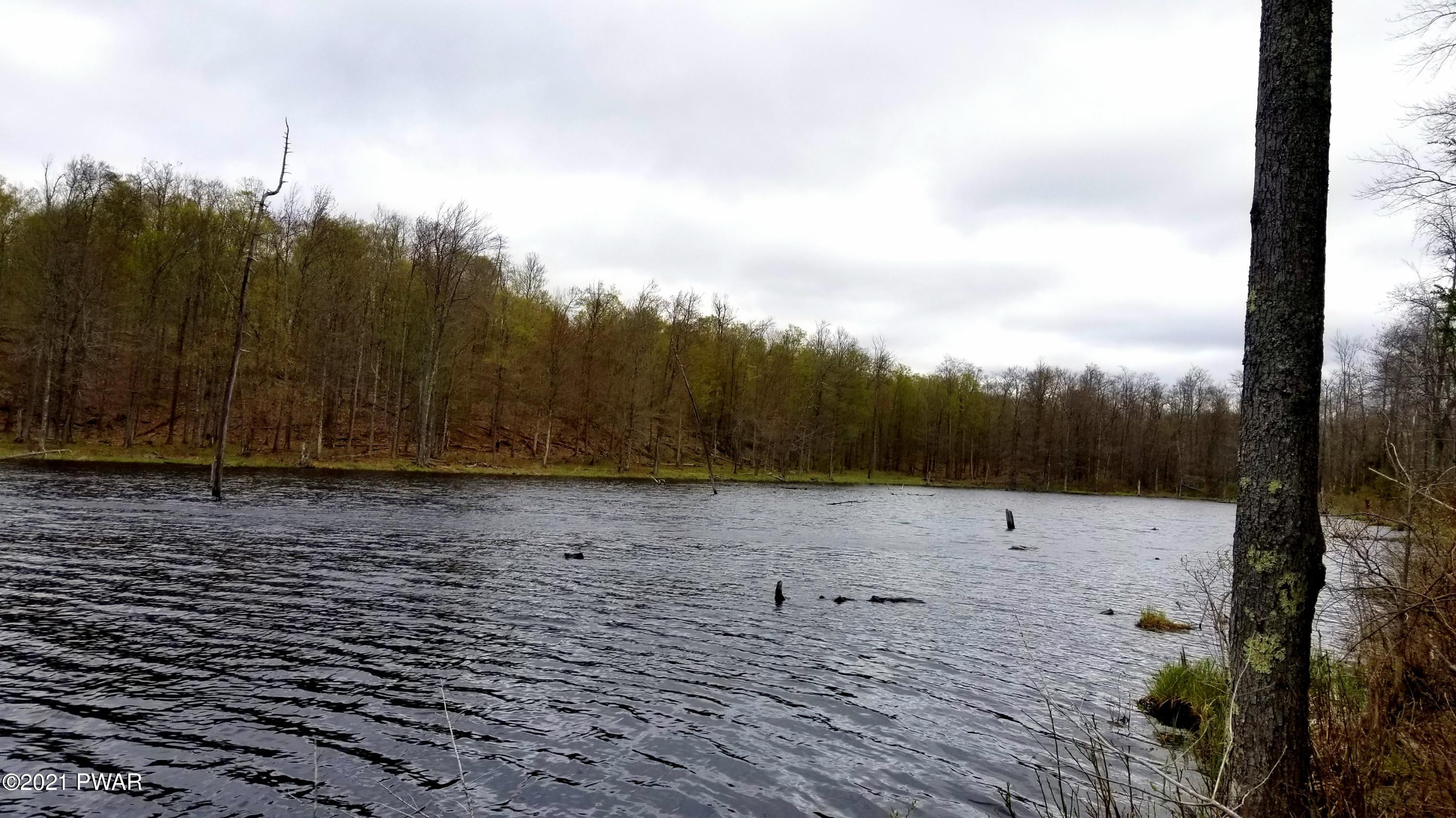 Lot 80 Stonegate Road Equinunk, PA 18417 - Photo 21 of 58