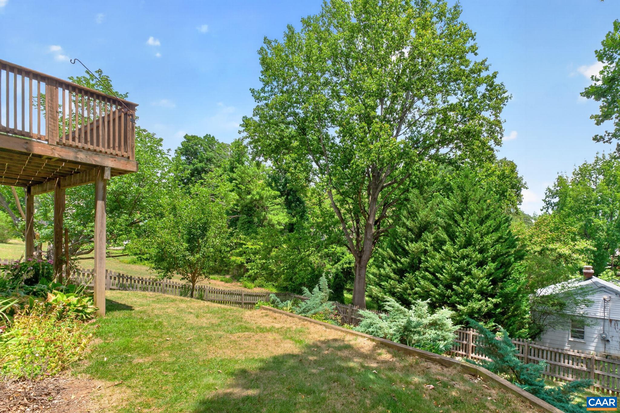 258 Shamrock Road Charlottesville, VA 22903 - Photo 41 of 55