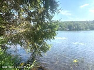 1171 Heart Lake Road Montrose, PA 18801 - Photo 19 of 57 a view of a lake with a tree