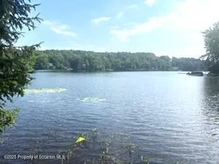 a bedroom with a bed and a lamp on roof