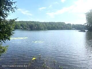 1171 Heart Lake Road Montrose, PA 18801 - Photo 19 of 56 a view of lake