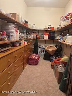 1171 Heart Lake Road Montrose, PA 18801 - Photo 50 of 56 IMG_3099