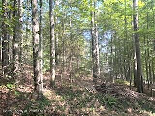 1171 Heart Lake Road Montrose, PA 18801 - Photo 9 of 56 a view of forest