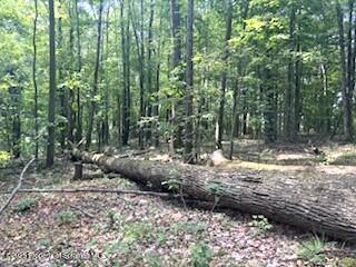 1171 Heart Lake Road Montrose, PA 18801 - Photo 10 of 56 IMG_3143