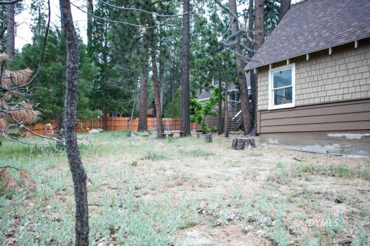 25175 Fern Valley Road Idyllwild, CA 92549 - Photo 51 of 58 Idyllwild CA Home for Sale