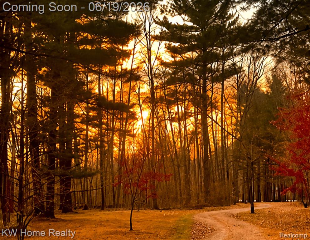 4474 5 Lakes Road North Branch, MI 48461 - Photo 36 of 36