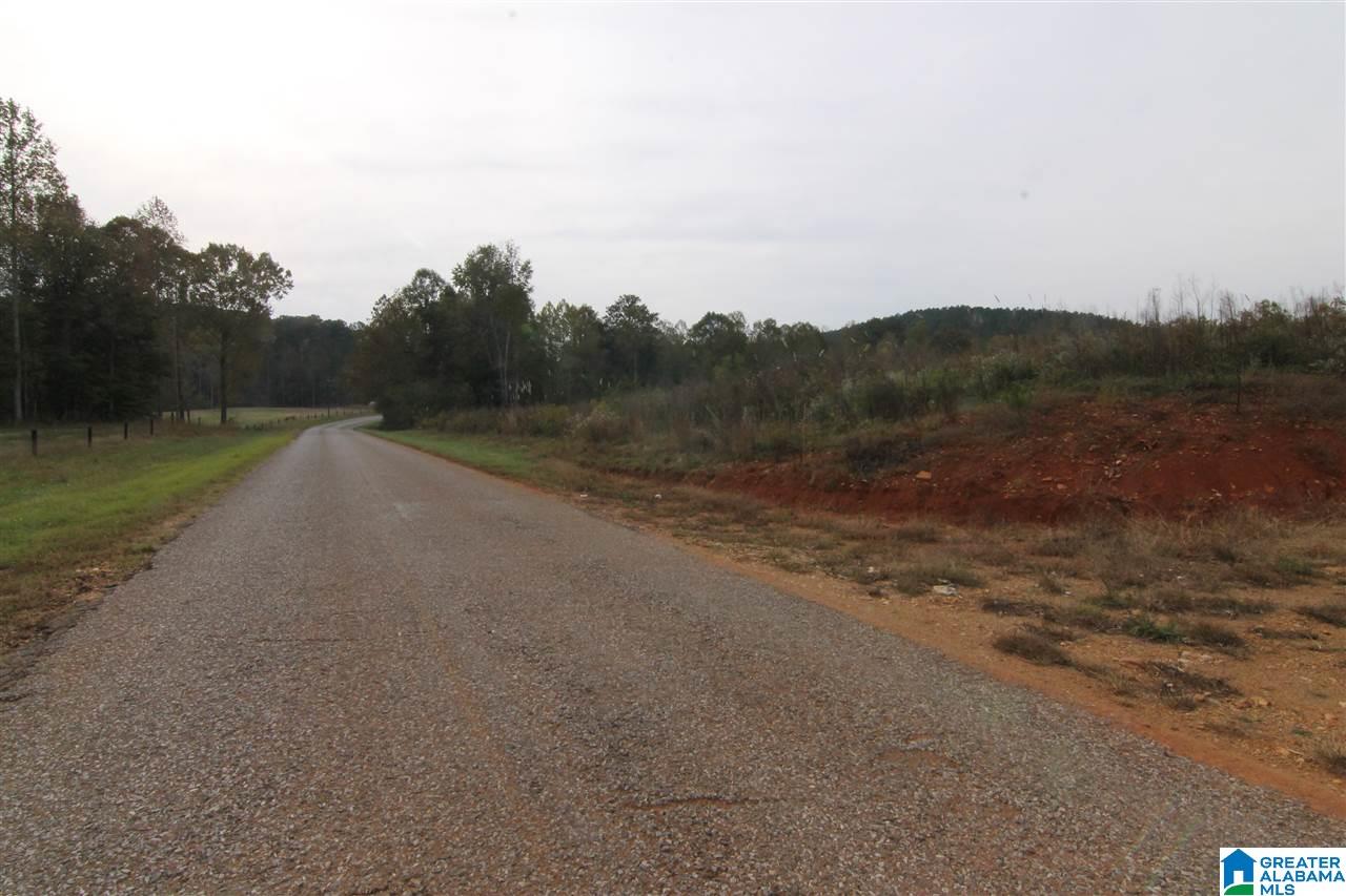 6317 County Road 10, Unit 60 Heflin, AL 36264 - Photo 6 of 6
