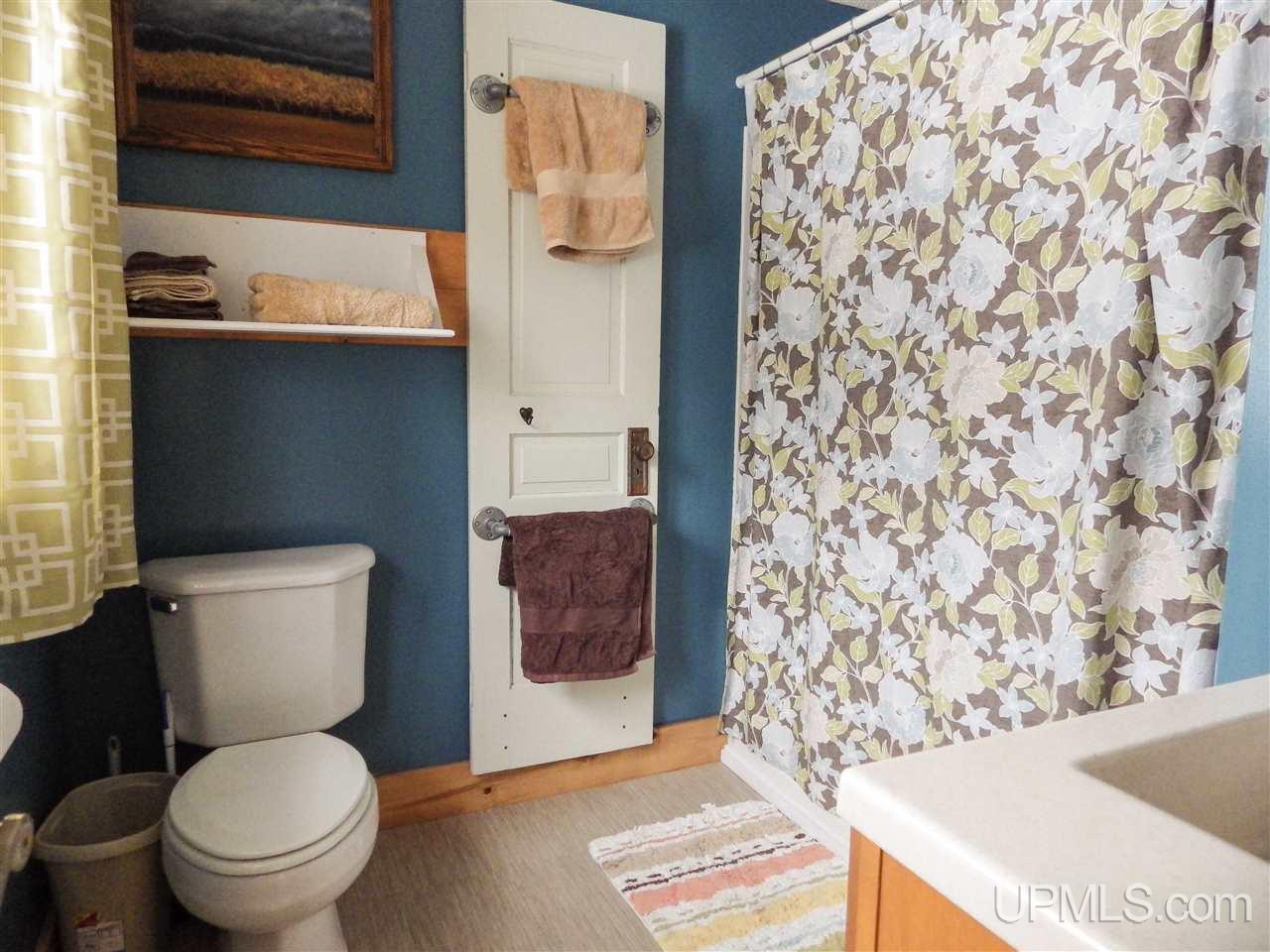 305 Town Hall Road Skandia, MI 49885 - Photo 25 of 36
