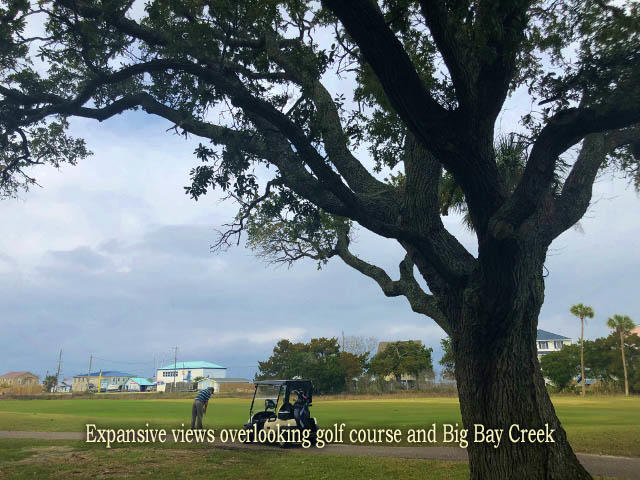 23 Battery Park Road Edisto Island, SC 29438 - Photo 2 of 100 1a