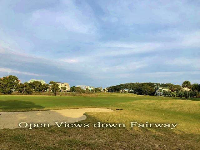 23 Battery Park Road Edisto Island, SC 29438 - Photo 14 of 100 11a