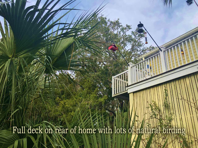 23 Battery Park Road Edisto Island, SC 29438 - Photo 4 of 100 4