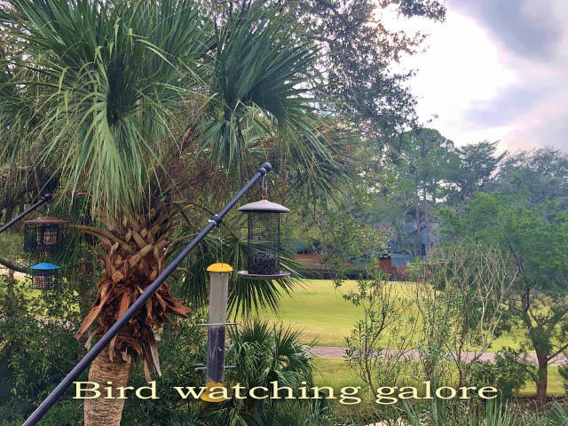 23 Battery Park Road Edisto Island, SC 29438 - Photo 33 of 100 29