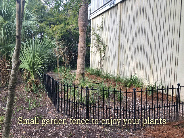 23 Battery Park Road Edisto Island, SC 29438 - Photo 35 of 100 30a