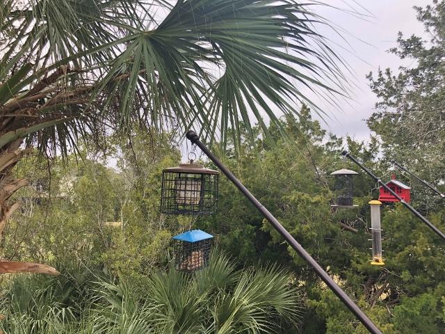 23 Battery Park Road Edisto Island, SC 29438 - Photo 36 of 100 31