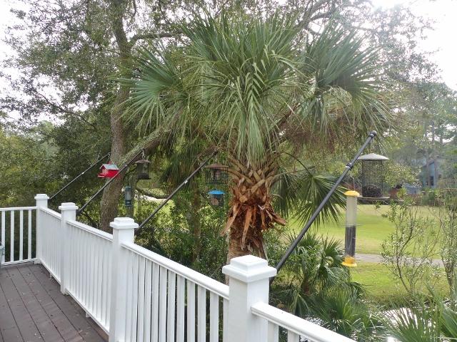 23 Battery Park Road Edisto Island, SC 29438 - Photo 38 of 100 33