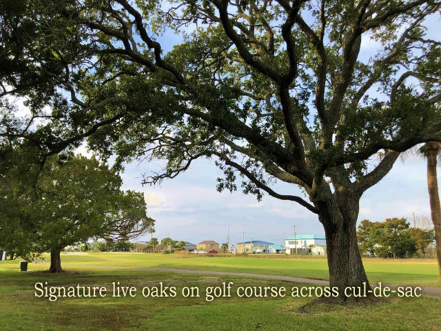 23 Battery Park Road Edisto Island, SC 29438 - Photo 5 of 100 4a