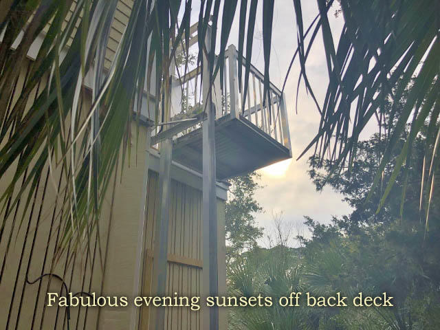 23 Battery Park Road Edisto Island, SC 29438 - Photo 88 of 100 85