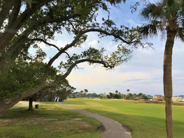 23 Battery Park Road Edisto Island, SC 29438 - Photo 89 of 100 87