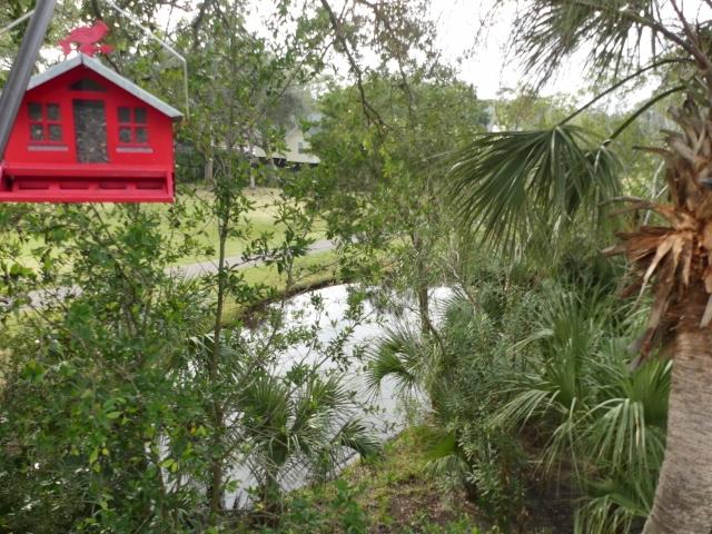 23 Battery Park Road Edisto Island, SC 29438 - Photo 93 of 100 92