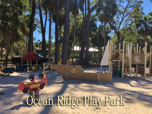 23 Battery Park Road Edisto Island, SC 29438 - Photo 100 of 100 100