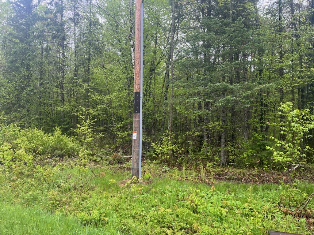 Lot 2 Delap Lane Couderay, WI 54828 - Photo 3 of 14