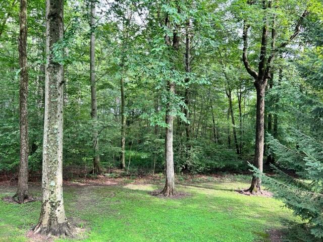 2785 Musser Road Northeast Baltimore, OH 43105 - Photo 25 of 26 image23