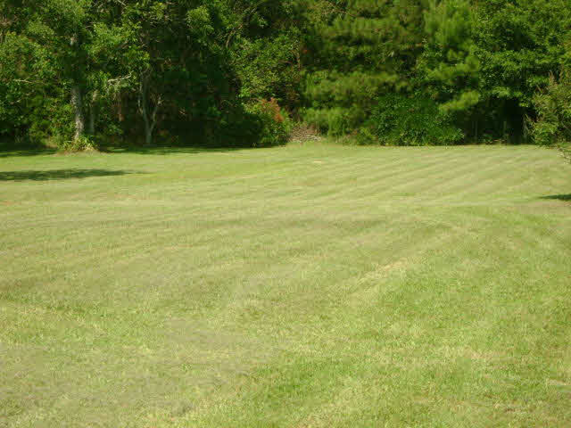 15716 Carver Road Foley, AL 36535 - Photo 21 of 26 Large back yard