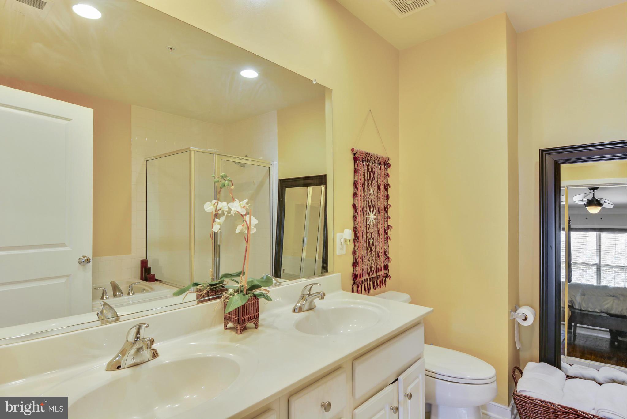 11050 Amherst Avenue Silver Spring, MD 20902 - Photo 17 of 30 Bath (Master)